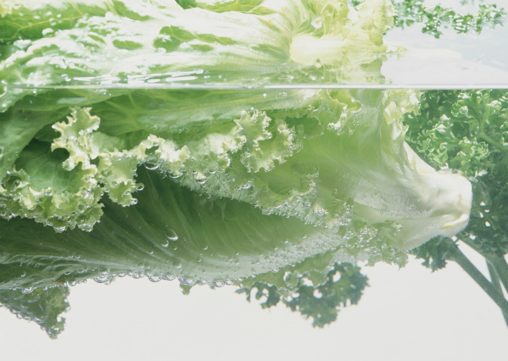 Free lettuce water image